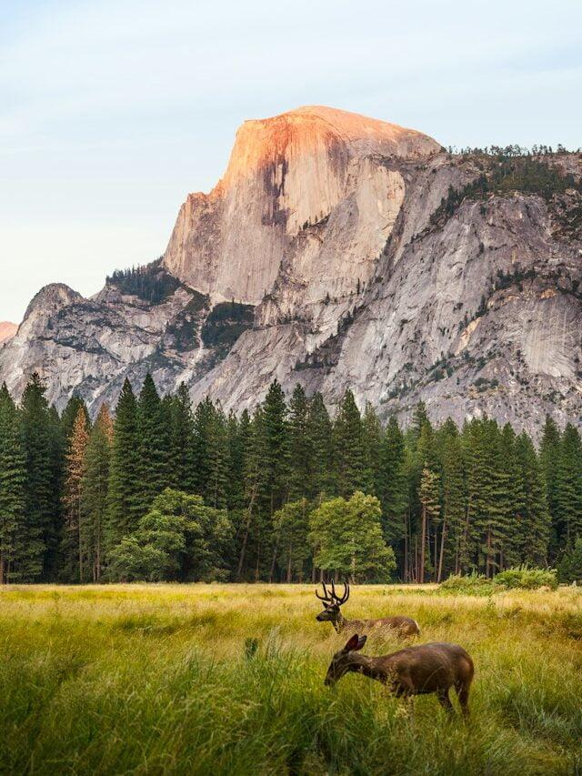 10 Must-See National Parks in the USA